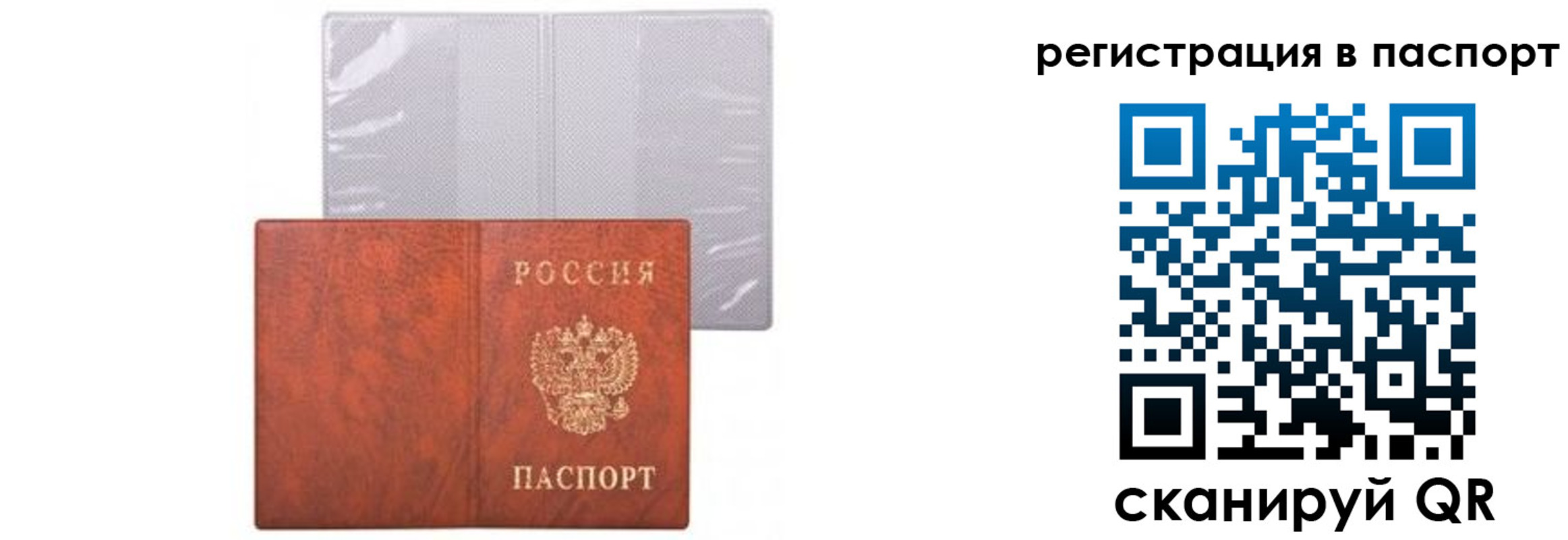 прописка ребенка в Десногорске